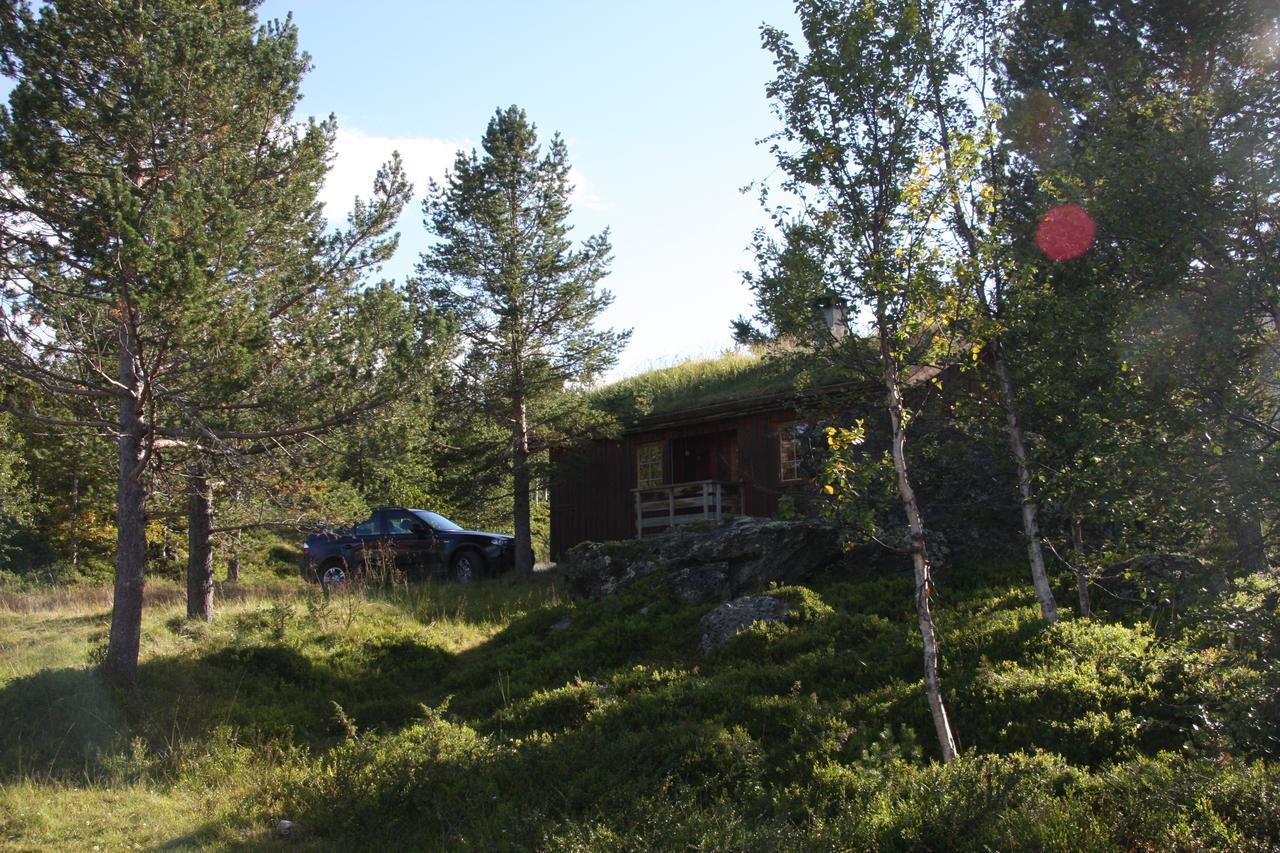 Randsverk Lemonsjo Fjellstue Og Hyttegrend מראה חיצוני תמונה