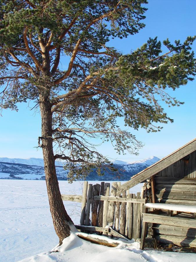 Randsverk Lemonsjo Fjellstue Og Hyttegrend מראה חיצוני תמונה